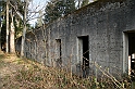 IMG_1146
