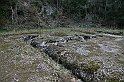 IMG_1153