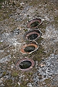 IMG_1154
