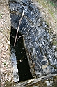 IMG_1155