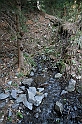 IMG_1159