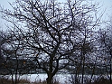 DSC07163