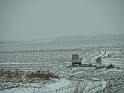 DSC07175