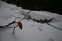 Turbacz 22.03.08 012