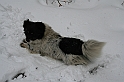 Turbacz 22.03.08 014