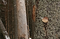 Turbacz 22.03.08 057