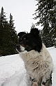 Turbacz 22.03.08 076