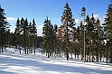 Turbacz 22.03.08 111