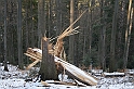Turbacz 22.03.08 146