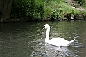 Bad Kissingen 2008 454