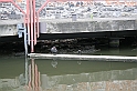 Bad Kissingen 2008 466