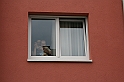 Bad Kissingen 2008 854