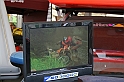 Bad Kissingen 2008 1156