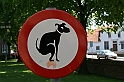Bad Kissingen 2008 682