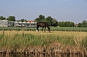 Bad Kissingen 2008 814