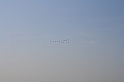Bad Kissingen 2008 830