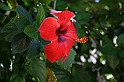 Rodos 2007 041