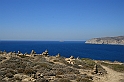 Rodos 2007 141