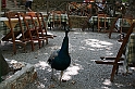 Rodos 2007 387