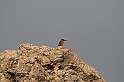 Rodos 2007 427