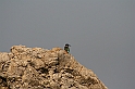 Rodos 2007 436