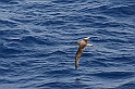 Rodos 2007 898