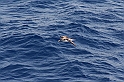 Rodos 2007 899