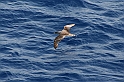 Rodos 2007 902