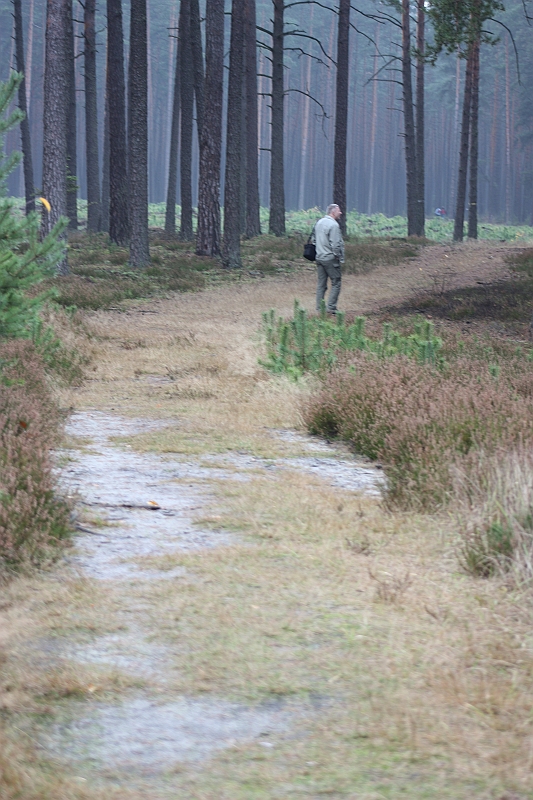 IMG_2484