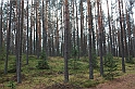 IMG_2453