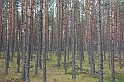 IMG_2454