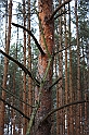 IMG_2456