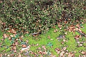 IMG_2458