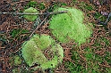 IMG_2460