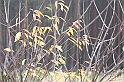 IMG_2481