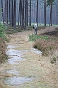 IMG_2484