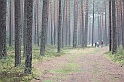 IMG_2488