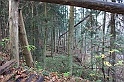 IMG_2512