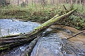 IMG_2517