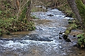 IMG_2521