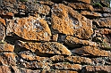 IMG_2526