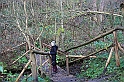 IMG_2528