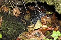 IMG_2535