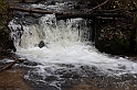 IMG_2541