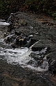 IMG_2551