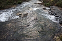 IMG_2552