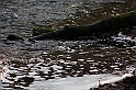 IMG_2561