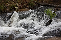 IMG_2564