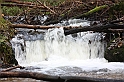IMG_2572