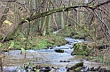 IMG_2578